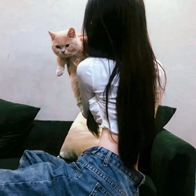 恨锁琼楼