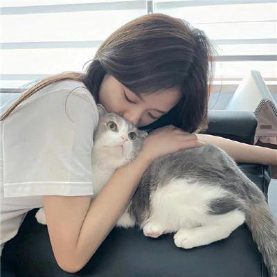 三个盗贼和狮子